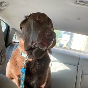 Meet your Posher, Madison